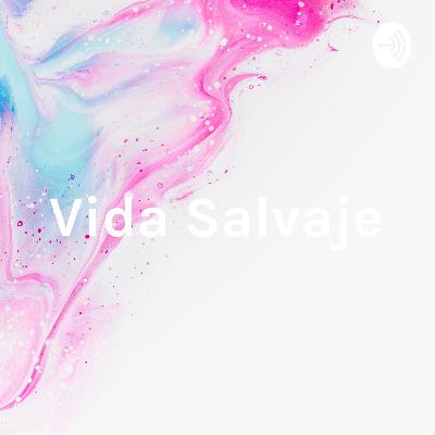 Vida Salvaje: Caza Furtiva