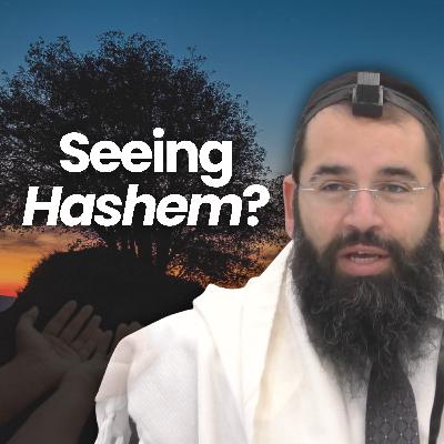 What Does It Mean to See God? What Does It Mean to See God?