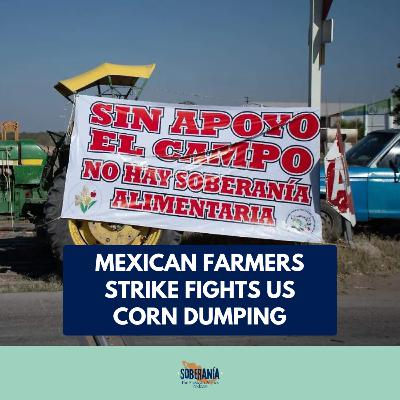 Mexican Farmers Strike FIGHTS US Corn Dumping Mexican Farmers Strike FIGHTS US Corn Dumping