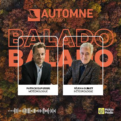 Automne 2023: une tendance lourde va être renversée