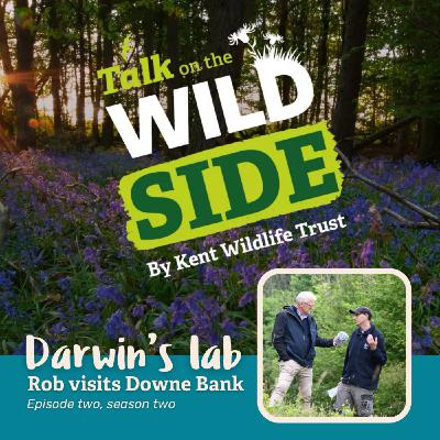 A Walk Through Time at Downe Bank