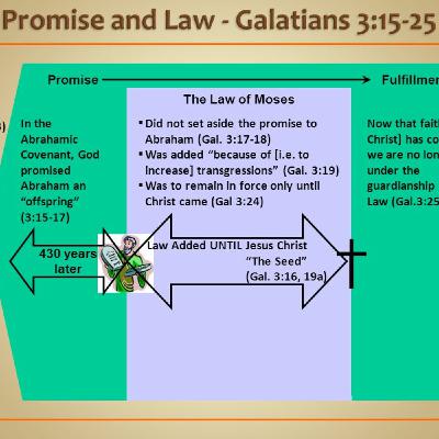 Episode 261: Gal. 3:15-25, Two Different Purposes by God, 7.13.25
