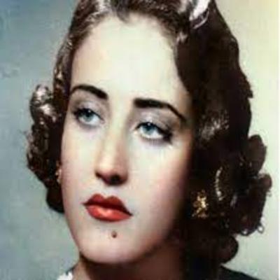 15. الدانوب قصة لا تنتهي: ليالي الأنس في فيينا