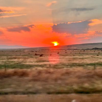 Sin titulando Sin titulando