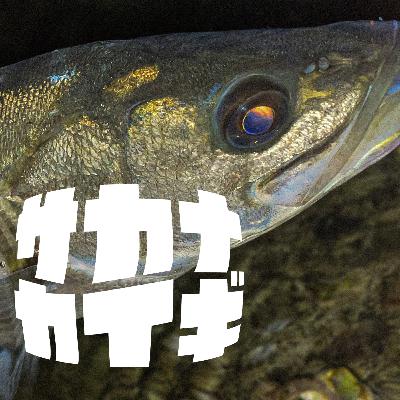 スズキ :: 「また おまえかー？！」なんてとても言えない。釣れて嬉しいシーバス達〈サカナダンギ〉