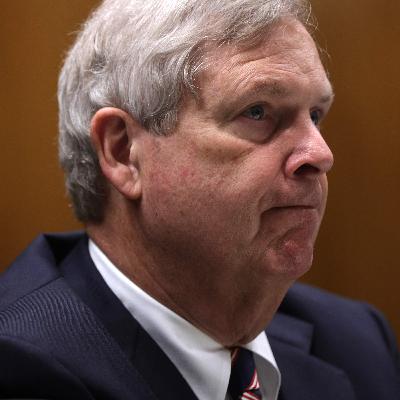 How Department of Agriculture Is Reckoning With Racial Inequity How Department of Agriculture Is Reckoning With Racial Inequity