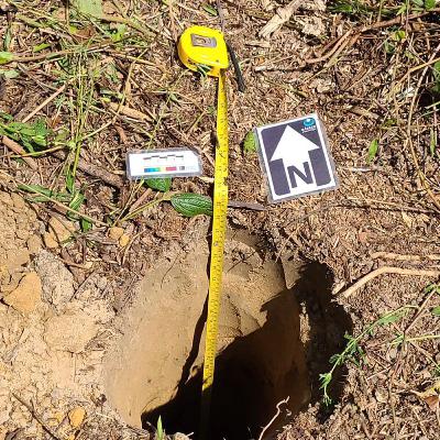 Em Campo com A Lasca Arqueologia: Estudos Arqueológicos em Manaus - AM