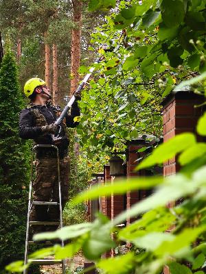 Up&down arborist