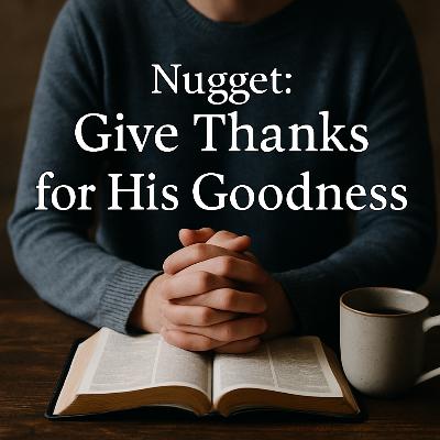 Wednesday's Nugget - November 26, 2025