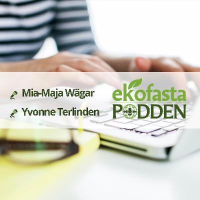Konsumindre, inte mera