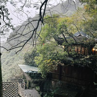 #39 Hành trình sửa mình để trở thành một người con ngoan #39 Hành trình sửa mình để trở thành một người con ngoan