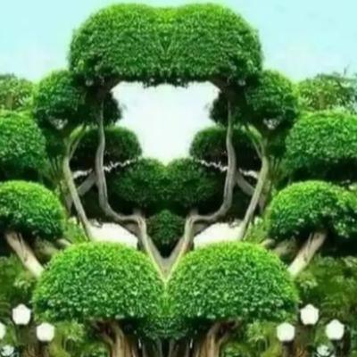 Evaluando mis relaciones