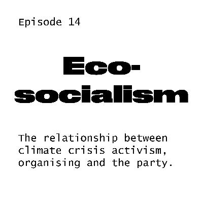 #14 Eco-socialism w/ Chris Saltmash