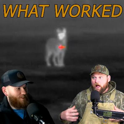 These Sounds Called Coyotes In | Full Hunt Breakdown