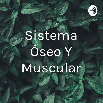 Sistema óseo y muscular