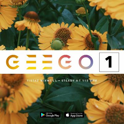 GeeGo One