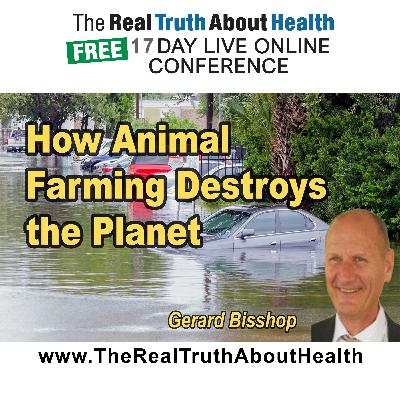 The Hidden Climate Killer: How Animal Farming Destroys the Planet The Hidden Climate Killer: How Animal Farming Destroys the Planet