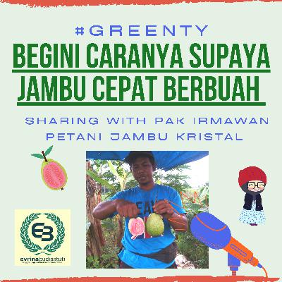 #Greenty Eps 5 : Cara Membuat Jambu Cepat Berbuah Feat Pak Irmawan Petani Jambu Kristal