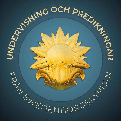 Först åsna, sedan häst