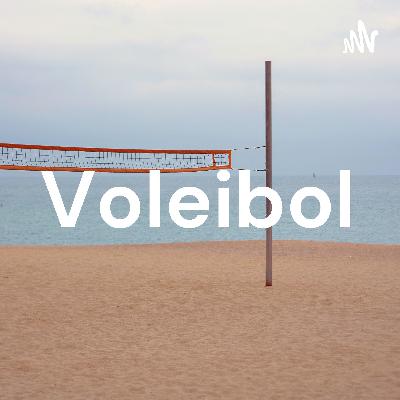 Voleibol