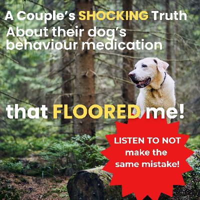 Why Behavioural Medication Fails — And What Makes It Work