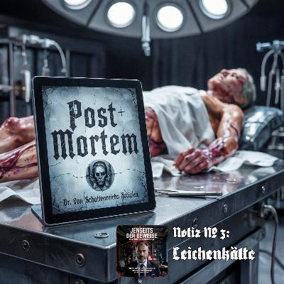 Post Mortem - Notiz #03: Leichenkälte