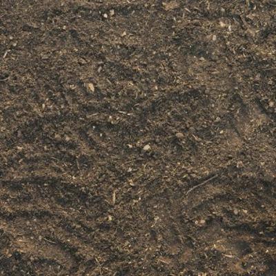 Podcas anatomia termos de direção Podcas anatomia termos de direção