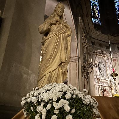 Chrysanthemen Chrysanthemen