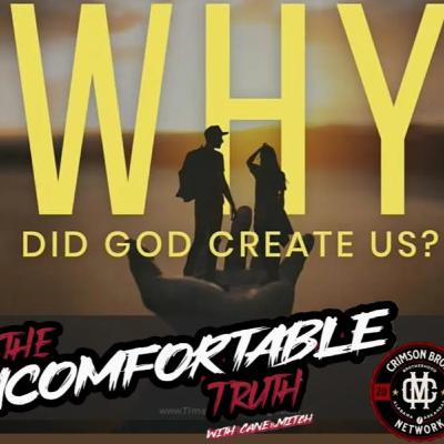 Why did God create life? Why did God create life?