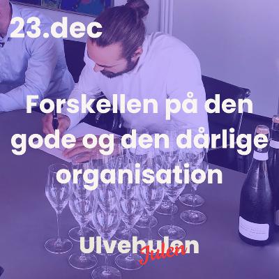 Ulvejulen - 23. december: Forskellen på den gode og den dårlige organisation