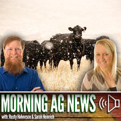 Morning Ag News, October 22, 2025: High elevations can impact cattle health