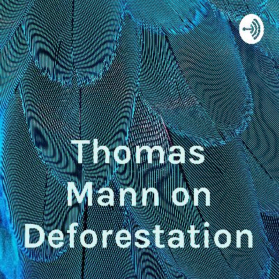 The Only Way to Go is Up.