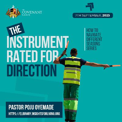 The Instrument Rated For Direction