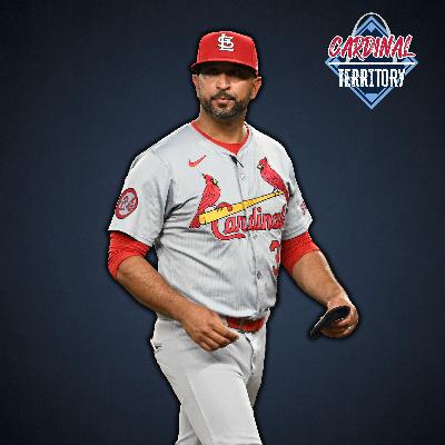 Will Liberatore Take The Next Step? What Starters will the Cardinals Sign?