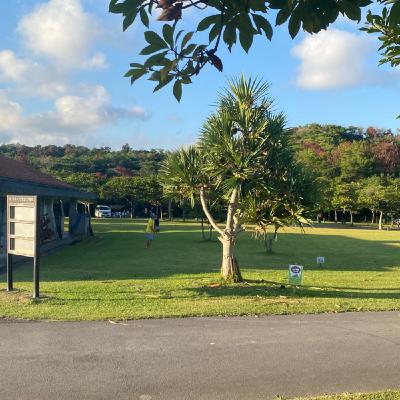 #747　心を整える朝のヒーリングピアノ 今日は雑談のみ　人は変えられない