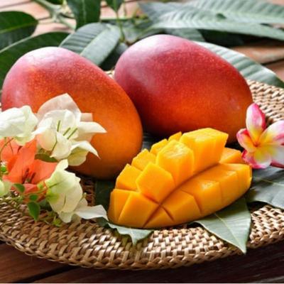 Episode 1-Lub Tub Talk with Sowmiaa Vimal-Mango Episode 1-Lub Tub Talk with Sowmiaa Vimal-Mango
