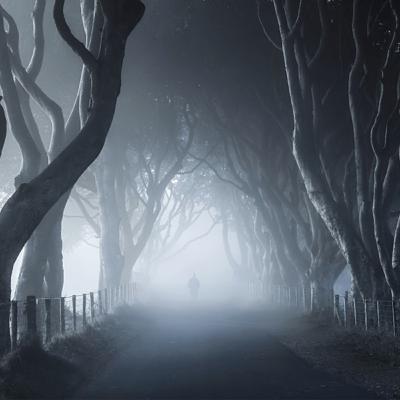 The Ghost Cast