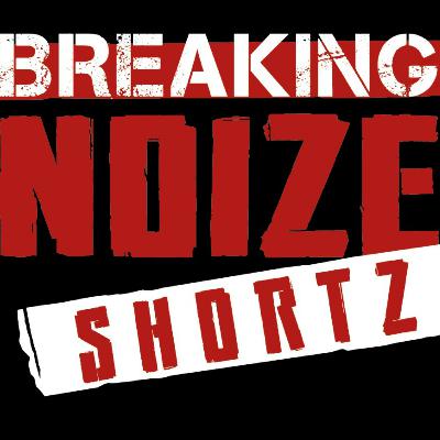 Breaking Noize Shortz Vol. 35