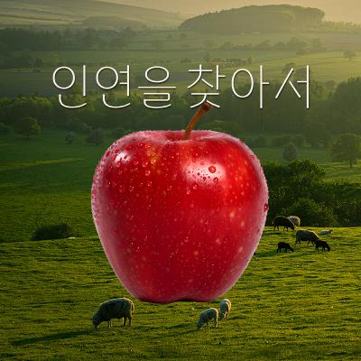 EP.4 캥거루 탈출 직전 나눠본 결혼에 대한 단상