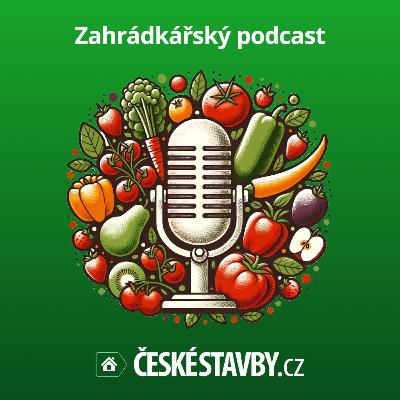 🌵Ideální doba pro založení skalky? Na podzim. A co vysazovat v říjnu?