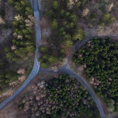 Spring Bird Chirping | Bird Sounds for relaxation, sleep or concentration on studying