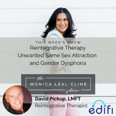 44. | David Pickup, LMFT - Hope in Reintegrative Therapy