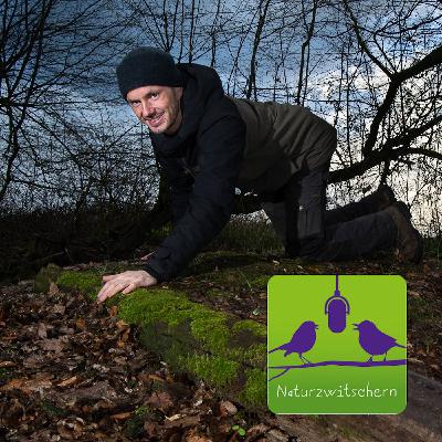 Naturzwitschern mit Aiko Sukdolak / Natur- und Wildtierfotograf