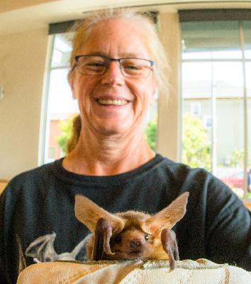 Halloween Episode: Northern California Bats with Corky Quirk