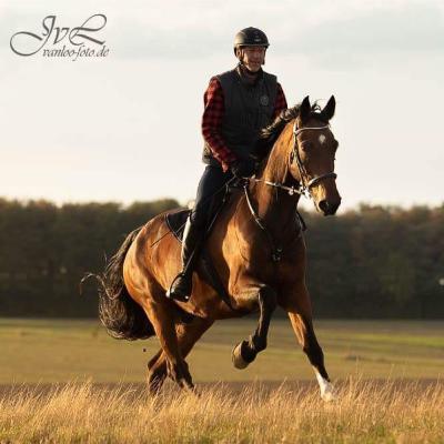 Galopp, eine schwierige Gangart? Galopp, eine schwierige Gangart?