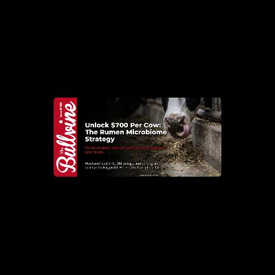 E465 Unlock $700 Per Cow: The Rumen Microbiome Strategy That Fixes Hidden Feed Efficiency Losses. E465 Unlock $700 Per Cow: The Rumen Microbiome Strategy That Fixes Hidden Feed Efficiency Losses.