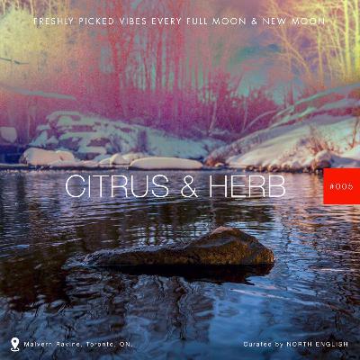 Citrus & Herb 005 2016 Wrap - Sleepers & Favs Citrus & Herb 005 2016 Wrap - Sleepers & Favs