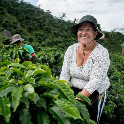 Mundo solidario - Comercio Justo. Trata NO: Manos Unidas. Fontilles en Bolivia.