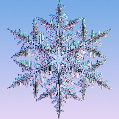 The War On Snowflakes (with Maddie Palmer)