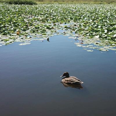 Vol.017 「不被工作定义」当你讨厌自己的大学专业，该如何自救？